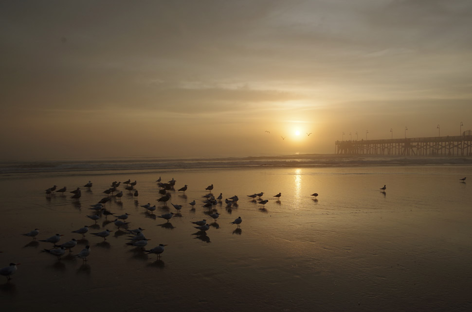 2019_03_Foggy_Sunrise 2019_03_Foggy_Sunrise