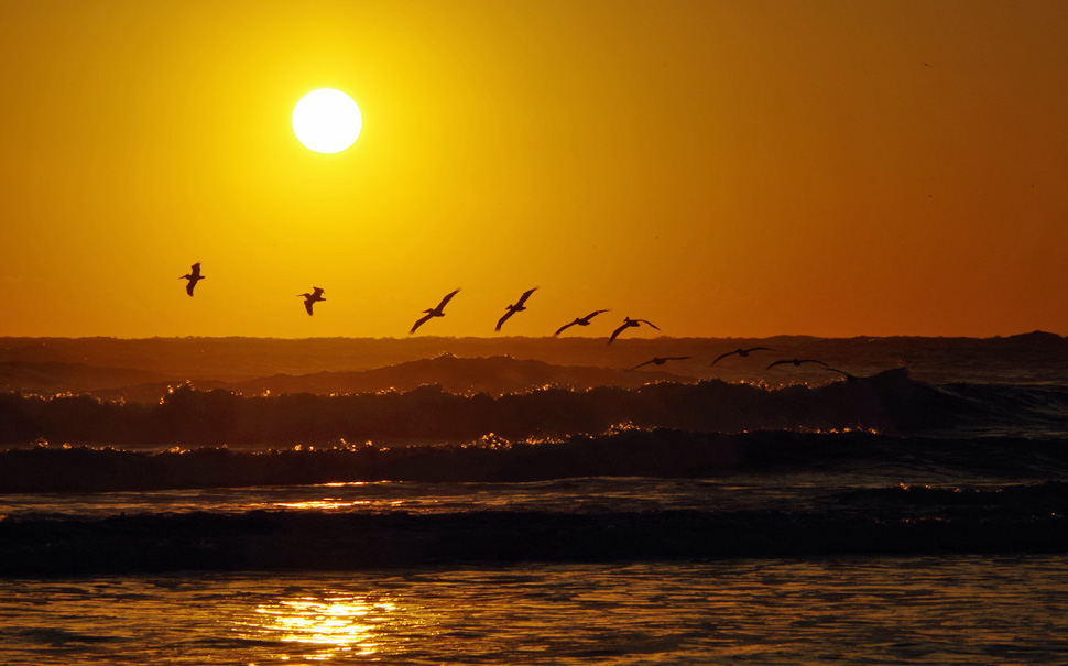 Sunrise-10 Sunrise-10