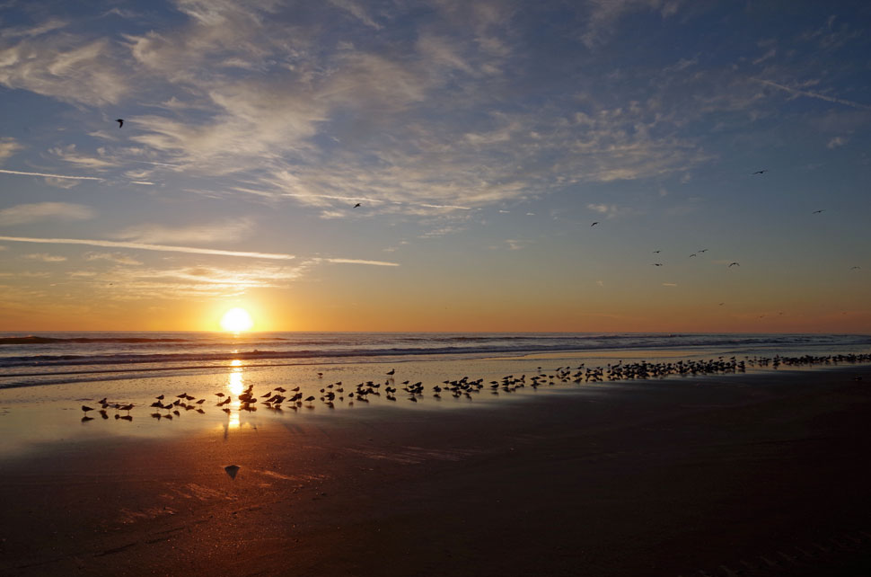 Sunrise_03_2018 Sunrise_03_2018