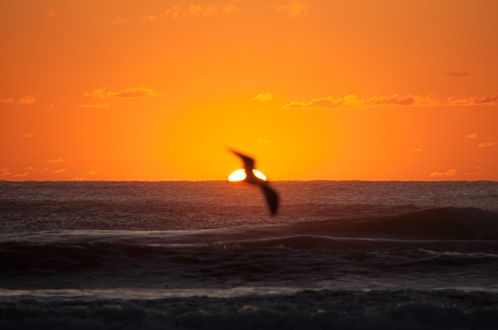 Sunrise_09_2019_1 Sunrise_09_2019_1