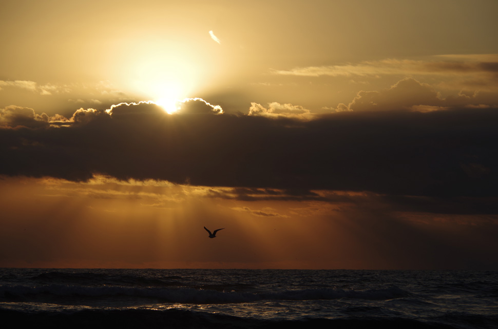 Sunrise_2021 Sunrise_2021